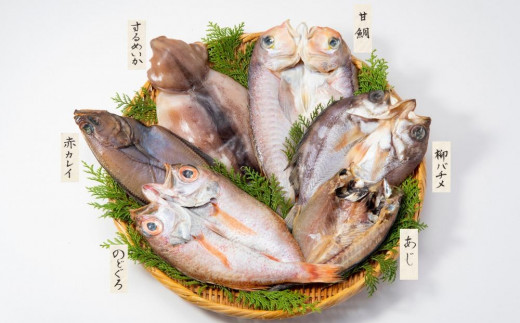 いしる干し　6種セット