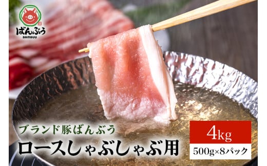 
ブランド豚「ばんぶぅ」小分け ロースしゃぶしゃぶ用 4kg（500g×8パック） 冷凍便 4キロ 大容量 たっぷり 豚肉 豚しゃぶ 豚ロース スライス肉 薄切り肉 うす切り肉 ぶた肉 すき焼き用 すきやき用 お鍋 ブタ肉 国産 茨城県産 ギフト プレゼント 高級部位 42-AF
