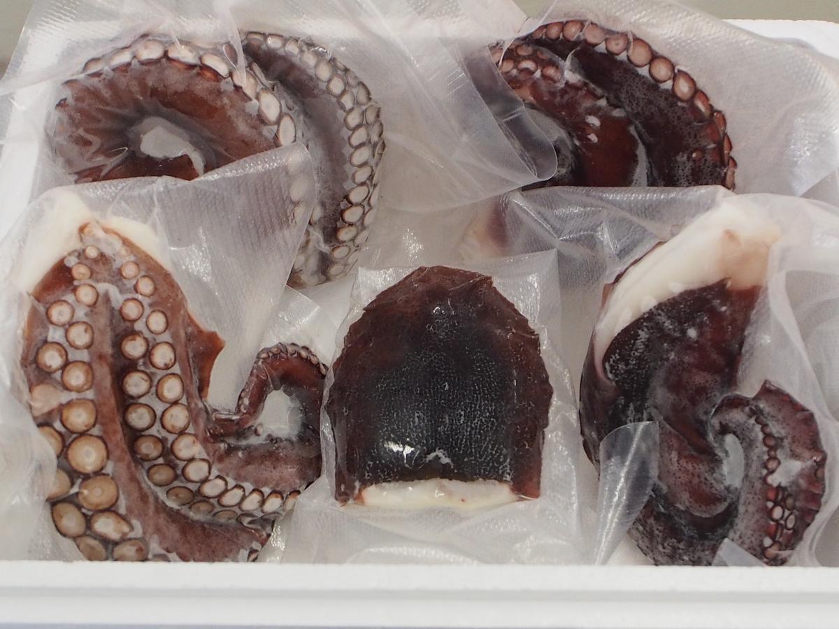 ８～９月にお届け　「ゆでだこ」ゆでまだこ1ｋｇ