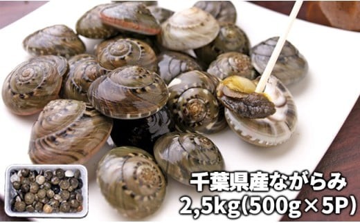 
            C01-E07 千葉県産ながらみ 2.5kg
          