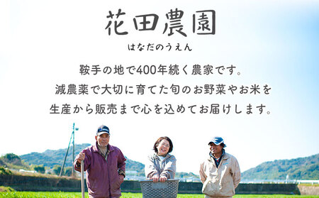 トマト とまと 2種の詰め合わせ 約4kg 花田農園