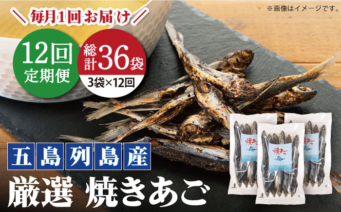 【全12回定期便】【上五島の伝統的な味をご家庭で】 厳選 無添加 焼きあご 100g×3袋 調味料 だし 【新魚目町漁業協同組合】 [RBC012]