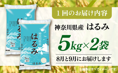 【2025年8月・9月発送】【2回定期便】令和6年産　お米　はるみ　10kg【株式会社ヨコショク】[AKGC004]