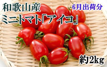 【6月発送】和歌山産ミニトマト「アイコトマト」約2kg（S・Mサイズおまかせ）【tec100A-6】