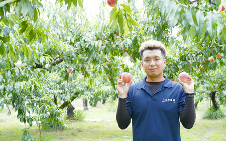 先行予約 白桃 約5kg 令和8年度 贈答用桃 新潟県三条市産 桃 三次郎農園