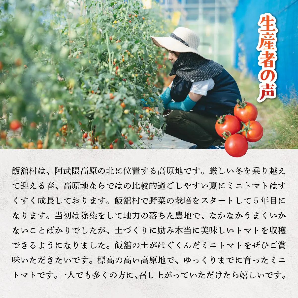 【8月中旬以降発送】飯舘村のミニトマト ITTAO001 | トマト