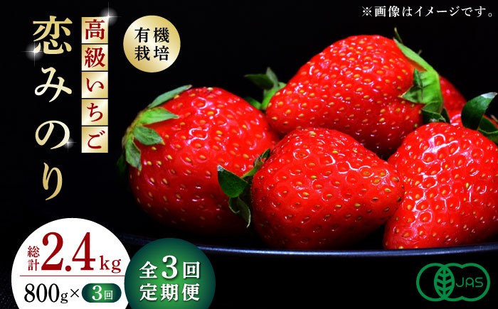 
                  【先行予約】【3回定期便】高級 いちご 恋みのり 約800g（200g×4pc）【伊藤農園】いちご 苺 熊本県 オーガニック 恋みのり [ZBB009]
                