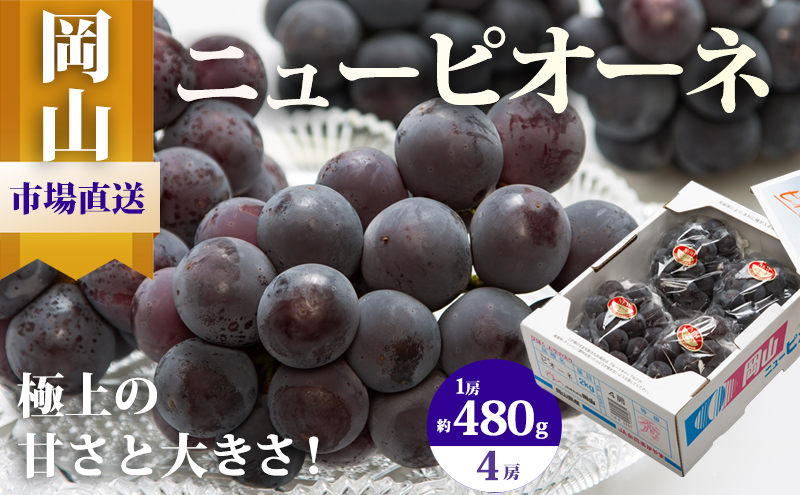 ぶどう 2025年 先行予約 ニュー ピオーネ 4房（1房480g以上）約2kg ブドウ 葡萄 岡山県産 国産 フルーツ 果物 ギフト