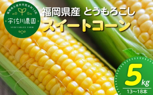 【2027年6月お届け】 福岡県産とうもろこし 5kg（スイートコーン） _ 福岡県産 とうもろこし 5kg スイートコーン 13本 ～ 18本 生でも食べれる 朝どれ 甘み ジューシー 旬 野菜 食材 宇佐川農園 お取り寄せ お取り寄せグルメ 福岡県 久留米市 送料無料 _ Gv055-02