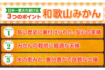 みかん 訳ありみかん 約5kg 2026年出荷