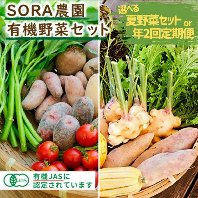 【ふるさと納税】高評価★5.0 高レビュー★【有機野菜】京都・京丹後 SORA農園 有機野菜 セット 1回 年2回定期便(夏季・冬季) 選べる 回数 8種前後 12種類前後 オーガニック野菜 詰め合わせ 栽培期間中農薬不使用 ふるさと納税 オーガニック ふるさと納税 有機野菜