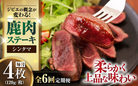 【全6回定期便】鹿肉 シンタマ120g×4枚 《喜茂別町》【EBIJIN】 ジビエ 鹿 シンタマ 希少部位 ステーキ ステーキ用 赤身 冷凍 冷凍配送[AJAO046]