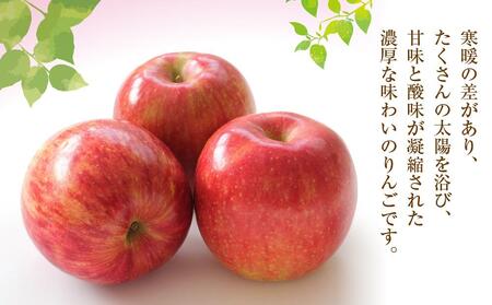 【先行予約】近澤果樹園 りんご「つがる」5kg（2025年10月上旬より発送予定）| りんご りんご りんご りんご りんご りんご _01177
