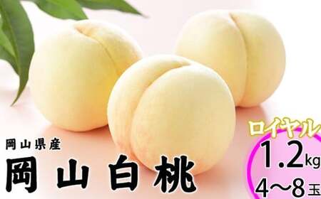 岡山白桃 ロイヤル 4～8玉 約1.2kg 岡山県産 （早生種・中生種） 【2026年7月上旬～8月下旬迄発送予定】 ／ 白桃 桃 もも 果物 果実 フルーツ 岡山県 美咲町 冷蔵