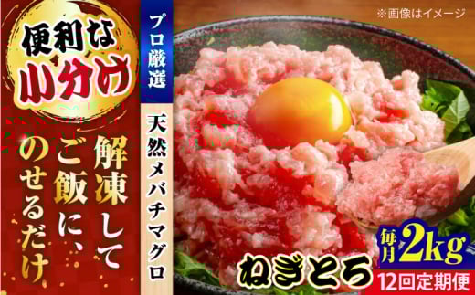【全12回定期便】まぐろ ねぎとろ 約2kg（約250g×8パック）マグロ ねぎとろ 鮪 マグロ 魚 ネギトロ まぐろたたき 海鮮 海鮮丼 ねぎとろ巻き 小分け 横須賀【横須賀商工会議所 おもてなしギフト事務局（本まぐろ直売所 横須賀本店）】 [AKAK040]