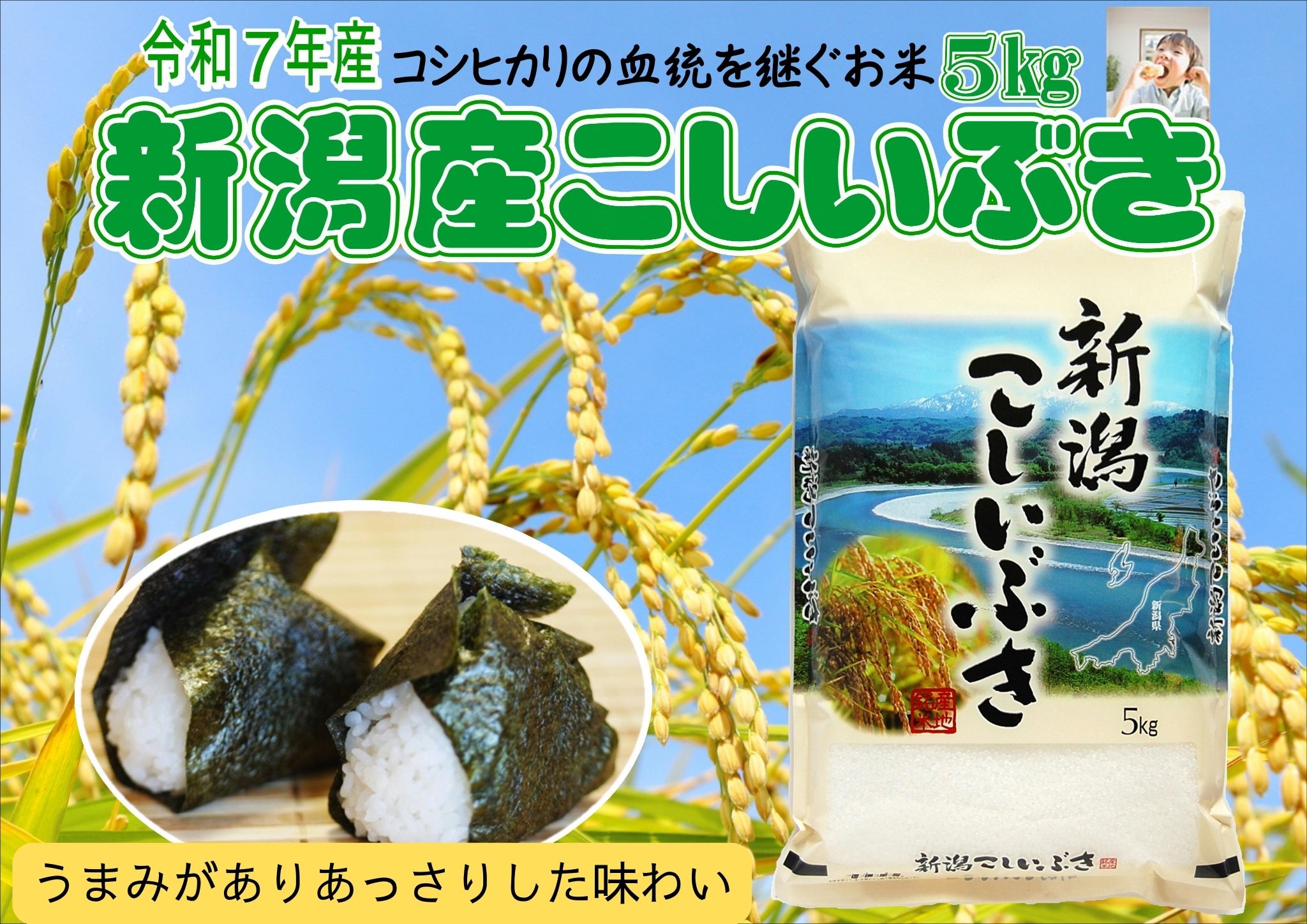 お米マイスターいち押し！！【令和7年産】新潟産こしいぶき 5kg コシヒカリの美味しさを受け継ぐ 白米 精米 コシヒカリ系 早生品種 米 ごはん ライス ブランド米 お米マイスター 井上米穀店 1I28013