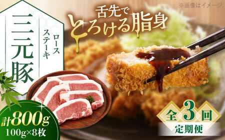 【全3回定期便】三元豚 ロースステーキ 8枚（100g/枚）  藻塩ナシ 《喜茂別町》【平田牧場】 豚ロース 豚ロース 豚ロース 豚ロース 豚ロース   [AJAP091] 51000 51000円