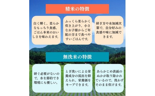 令和8年産 新潟県上越柿崎区厳選 こしひかり 精米 20kg 3か月定期便 上越市 米 コメ コシヒカリ ファインリョーコク