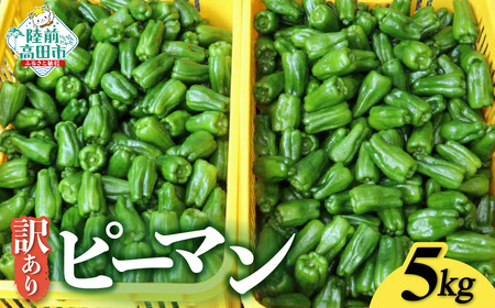 先行予約 訳ありピーマン 5kg 野菜 大容量 ピーマン
