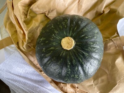 先行受付『2025年５月発送』喜界町産「春かぼちゃ」２玉(約４kg)