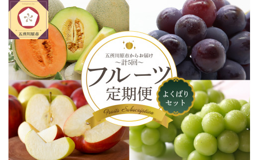 【2026年7月発送開始】 フルーツ 定期便 5回 よくばり セット 【訳あり】含む ｜ 緑肉・赤肉メロン ぶどう シャインマスカット りんご