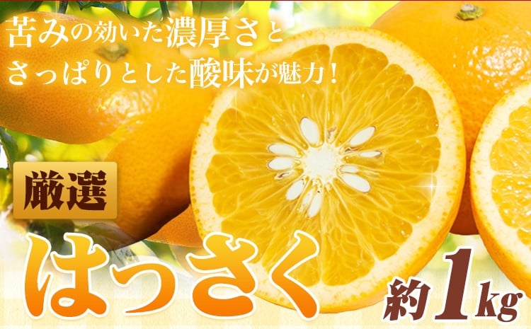 
                  ＜1月より発送＞ 厳選 はっさく 約1kg+250g（傷み補償分） 池田鹿蔵農園 日高町 《1月上旬-3月末頃出荷》和歌山県 日高町 送料無料 はっさくみかん 八朔 はっさく ギフト【配送不可地域あり】
                