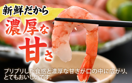 甘えび (大サイズ) 約1,400g 天然・鮮度抜群！【発泡箱】 船内冷凍 64尾 / 甘エビ 海老 えび エビ 冷凍 アマエビ あまえび 甘海老 刺身 産地直送 国産 人気 魚介 海の幸 海鮮