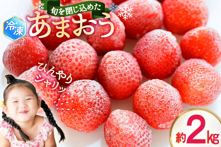 
                  いちご 冷凍 あまおう 約 2kg [地域商社ふるさぽ 福岡県 筑紫野市 21761438] イチゴ 苺 果物 果実 フルーツ デザート 2キロ 
                