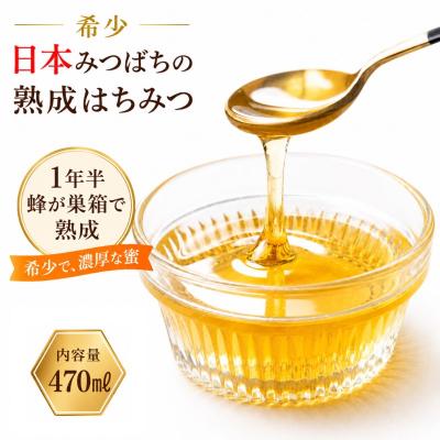 ふるさと納税 小川村 国産日本ミツバチ熟成はちみつ　百花蜂蜜470g*420