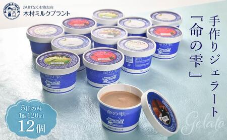手作り ジェラート 12個セット 命の雫 木村ミルク アイス ジェラート