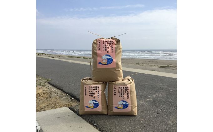 米 コシヒカリ みなみ米 5kg 九十九里産 お米 新米 白米 精米 ご飯 ブランド米 産地直送 送料無料 こめ コメ おこめ ごはん こしひかり 千葉 千葉県 九十九里 九十九里町