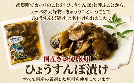 ＼ポスト投函／ひょうすんぼ漬け 計2袋 漬物 おかず 野菜 加工品 国産_T037-012