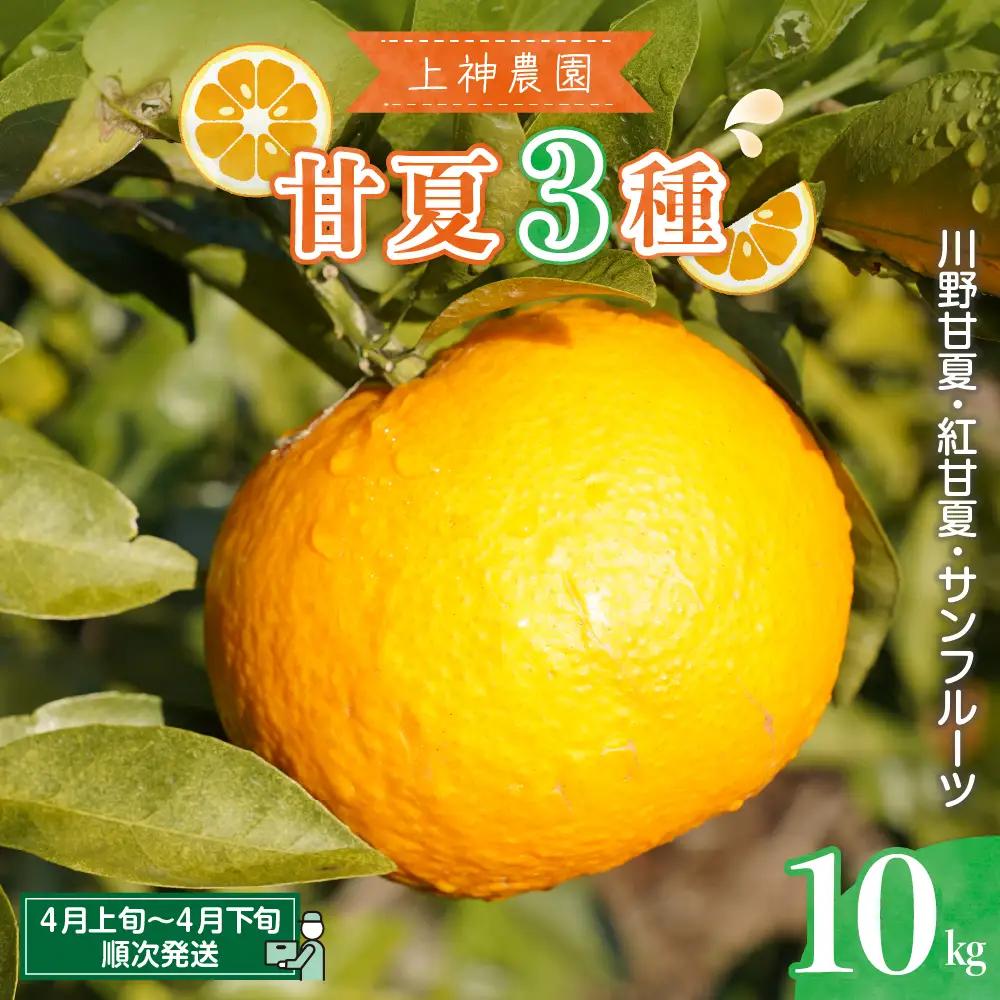 先行受付 2027年4月上旬～発送 甘夏3種類詰め合わせ 約10kg