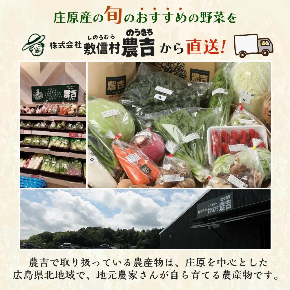 広島県庄原産「旬の野菜」詰め合わせ箱（13～15品目）野菜セット やさい