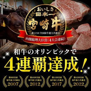 宮崎牛 サーロインステーキ600g N0140-YB727