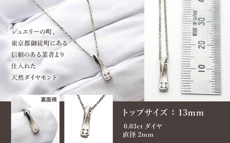 天然 ダイヤ 0.03ct チタンネックレス/BRD132/女性向/直径Φ2mmダイヤ石留 【チェーンの長さ：42cm】 幅1.15mmあずき小判チタンチェーン チタン製 日本製 【ネックレス チタン
