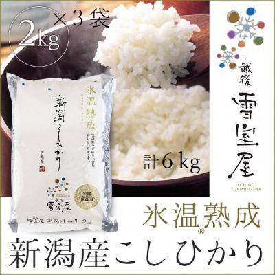 ふるさと納税 阿賀野市 【令和7年産先行受付】阿賀野産コシヒカリ「雪室米」6kg(雪室氷温熟成)