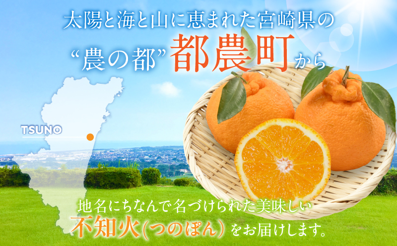 先行予約«数量限定»不知火(つのぽん)約4kg フルーツ 果物 柑橘 みかん 国産_T002-001