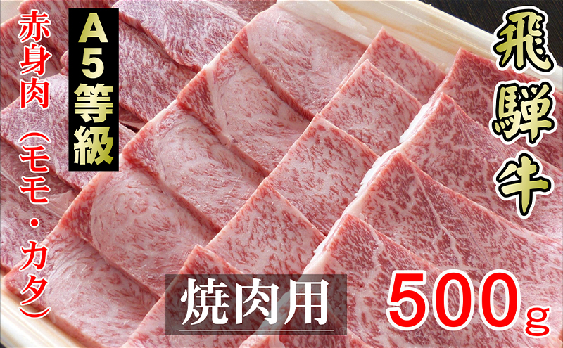 牛肉 飛騨牛 焼き肉 セット 赤身 モモ 又は カタ 500g 黒毛和牛 A5 美味しい お肉 牛 肉 和牛 焼肉 BBQ バーベキュー 【岐阜県輪之内町】