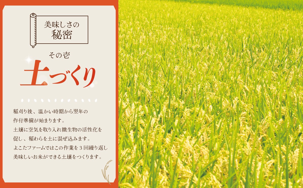 すき込みを3回繰り返します