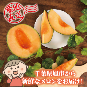 【2026年 先行予約 】贈答用 貴味メロン 赤肉 2玉 メロン メロン メロン メロン メロン メロン メロン メロン