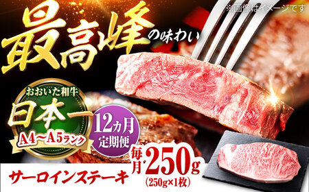 【全12回定期便】おおいた和牛 サーロインステーキ 250g (250g×1枚) 日田市 / 株式会社OTOGINO[AREF139]