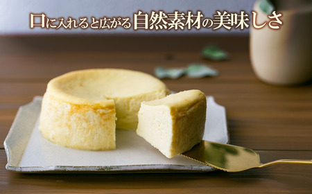 [ご自宅用簡易包装] 目覚めの「ホワイト生チーズケーキ」450g×1個【 チーズケーキ ｽｲｰﾂ お菓子 チョコレート ｽｲｰﾂ 自宅用 ご褒美 ｽｲｰﾂ デザート お取り寄せ ｽｲｰﾂ 茨城県 つく