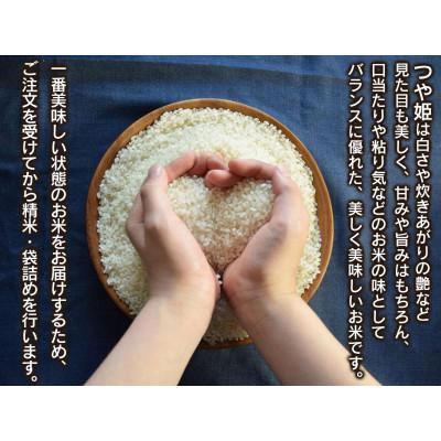ふるさと納税 鶴岡市 【令和7年産】山形県庄内産 小池半左衛門のお米 特別栽培米 つや姫 無洗米 5kg×2袋 計10kg |  | 01