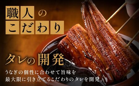 うなぎ蒲焼き1尾セット(約250g×1尾セット)【魚住商店】_HA1963 うなぎ 鰻 蒲焼 真空パック 福岡県宗像市 宗像市 福岡 宗像