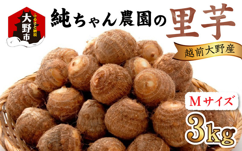 
            【先行予約】越前大野産 「純ちゃん農園の里芋 3kg」サイズM寸【10月下旬より順次発送】 
          