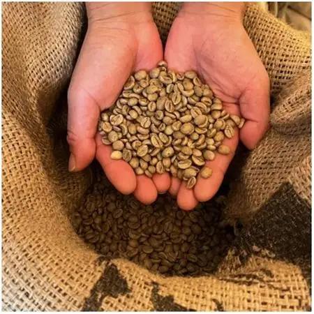 【毎月定期便】《豆3種計300g》ネコグラ珈琲焙煎所の煎りたて挽きたてコーヒーセット全6回_飲料・ドリンク コーヒー豆 コーヒー・コーヒー豆 珈琲 珈琲豆  定期便 定期便  _【4064361】
