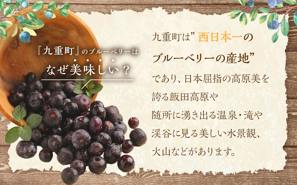 九重町産 冷凍 ブルーベリー 約1kg (1kg ×1袋) 