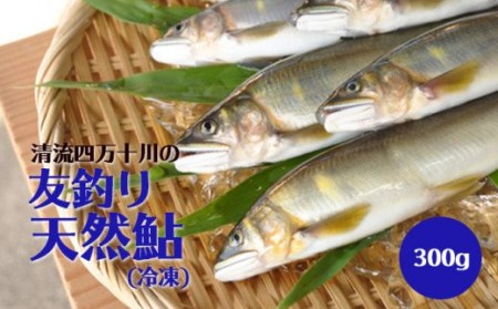 2023年初物！ 四万十川中流域の「友釣り天然鮎」 300g (4～6匹) ／Qdr-51