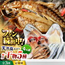 【ふるさと納税】【全3回定期便】漁師町佐島 干物詰め合わせ5種 4人前セット キンメ鯛 アジ カマス イワシ イカ 横須賀 【石川水産】[AKCX009]